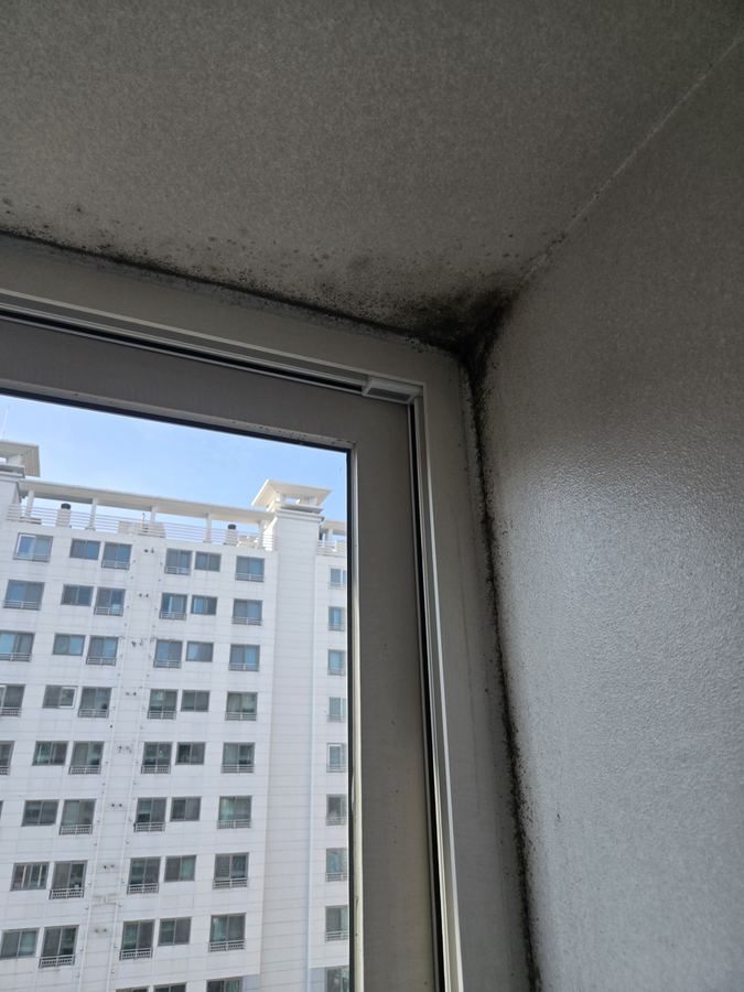 종로구 인근 곰팡이 제거 시공 전 — 성동구 아파트 베란다 결로성 곰팡이 제거 및 재발 방지 공사