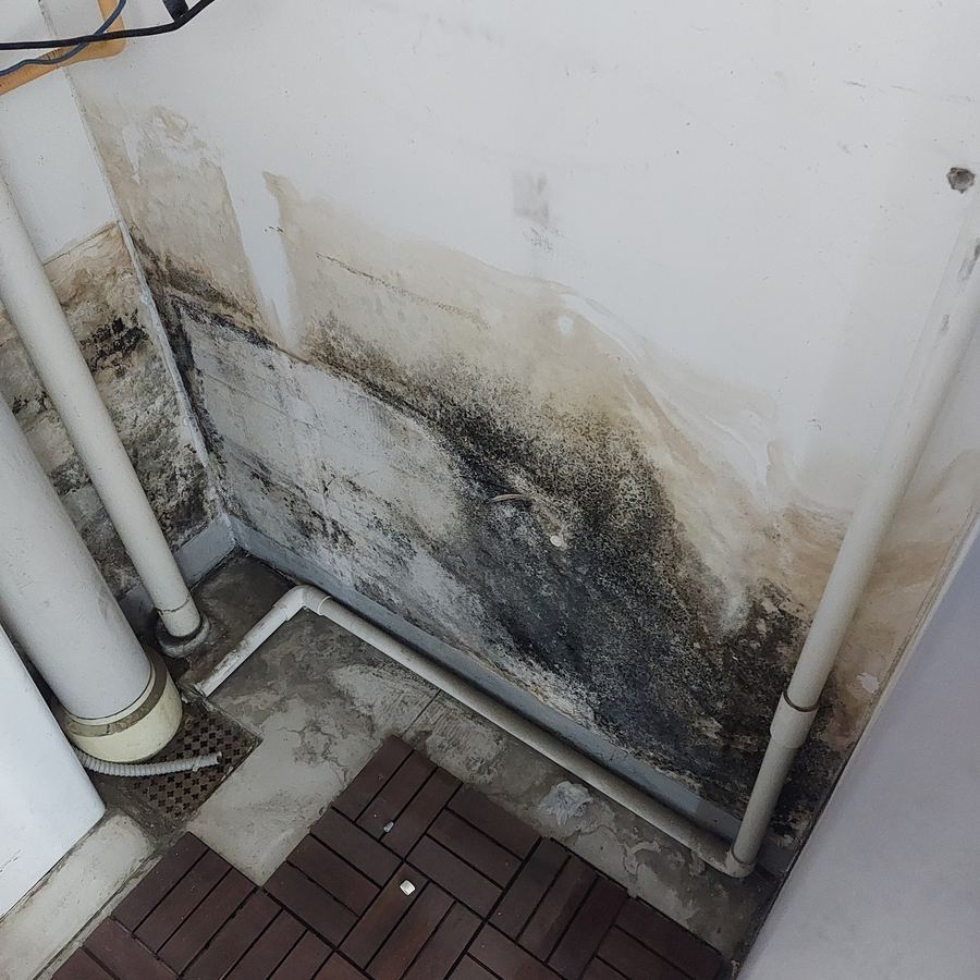 Before mold removal: Jung-gu (Seoul) apartment: veranda wall mold behind the AC unit and in a child's room, cause treated