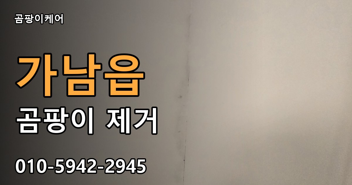 가남읍 곰팡이 제거 - 곰팡이케어 실제 시공 현장