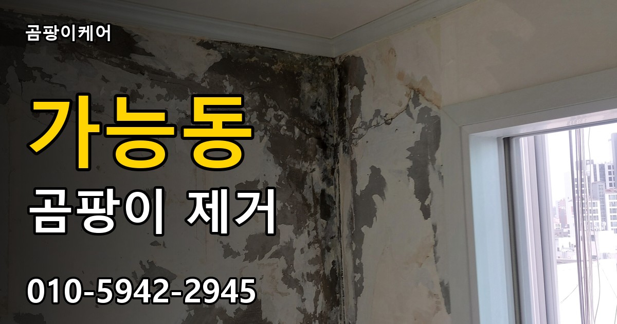 가능동 곰팡이 제거 - 곰팡이케어 실제 시공 현장