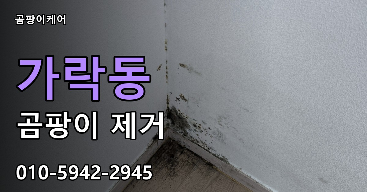 가락동 곰팡이 제거 - 곰팡이케어 실제 시공 현장