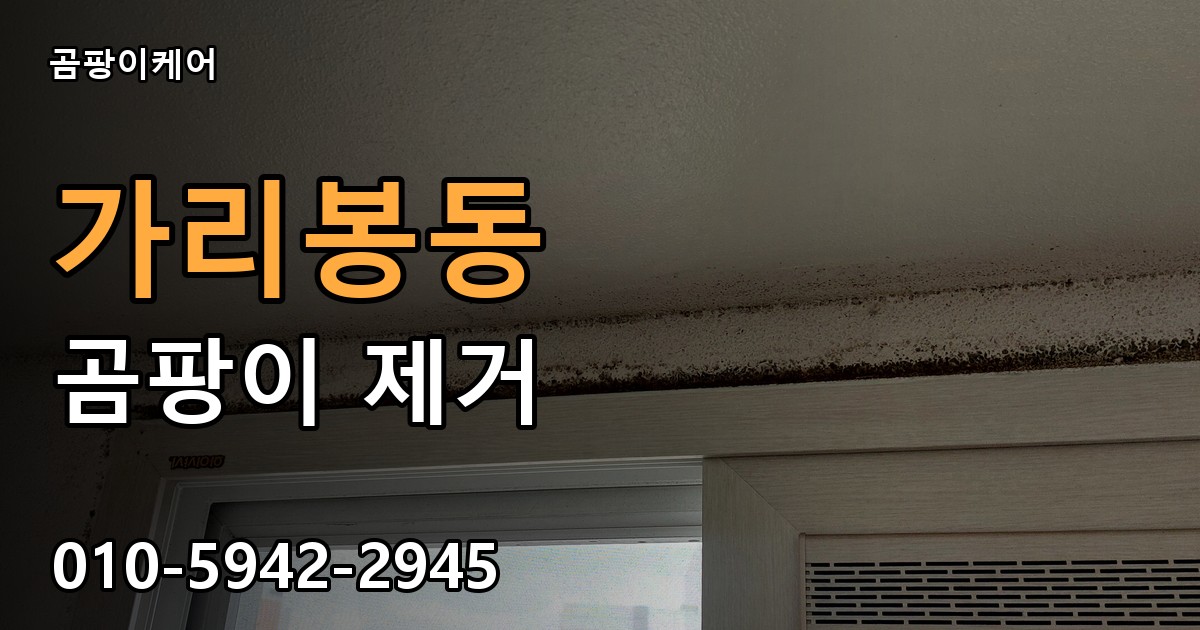가리봉동 곰팡이 제거 - 곰팡이케어 실제 시공 현장