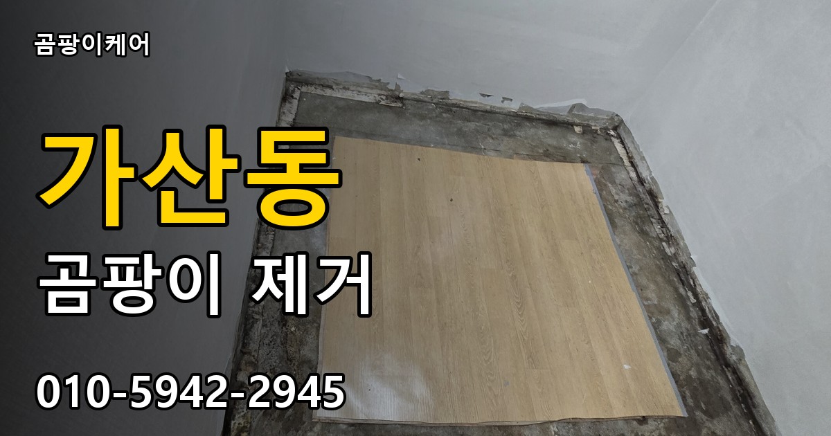 가산동 곰팡이 제거 - 곰팡이케어 실제 시공 현장