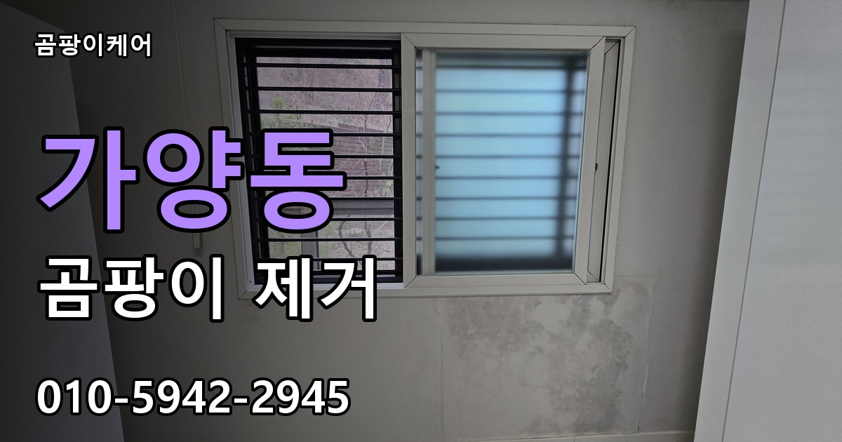 가양동 곰팡이 제거 - 곰팡이케어 실제 시공 현장