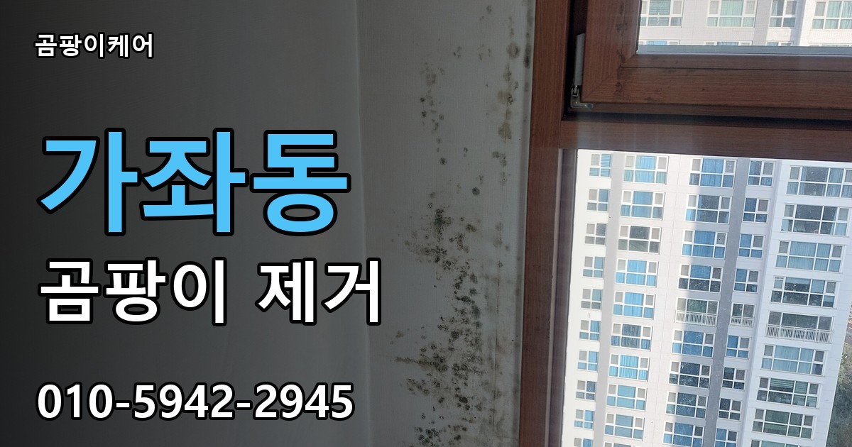 가좌동 곰팡이 제거 - 곰팡이케어 실제 시공 현장