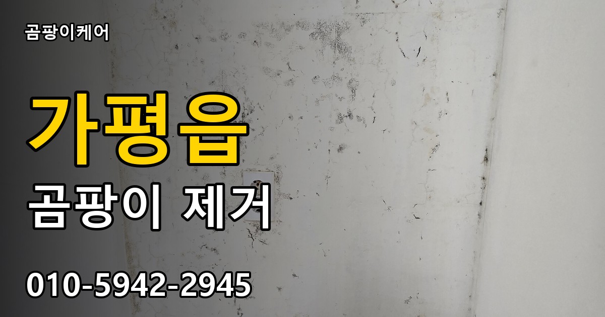 가평읍 곰팡이 제거 - 곰팡이케어 실제 시공 현장