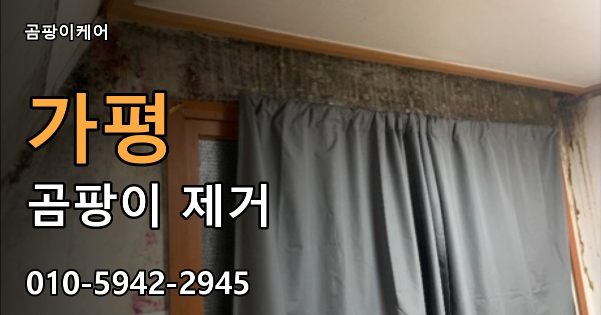 가평 곰팡이 제거 - 곰팡이케어 실제 시공 현장