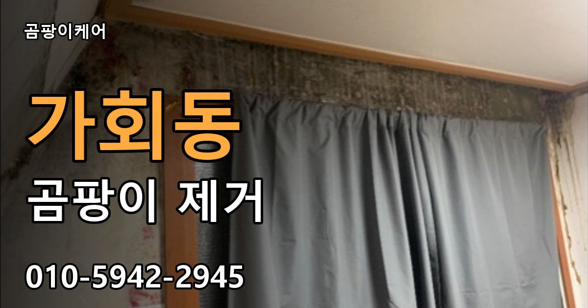 가회동 곰팡이 제거 - 곰팡이케어 실제 시공 현장