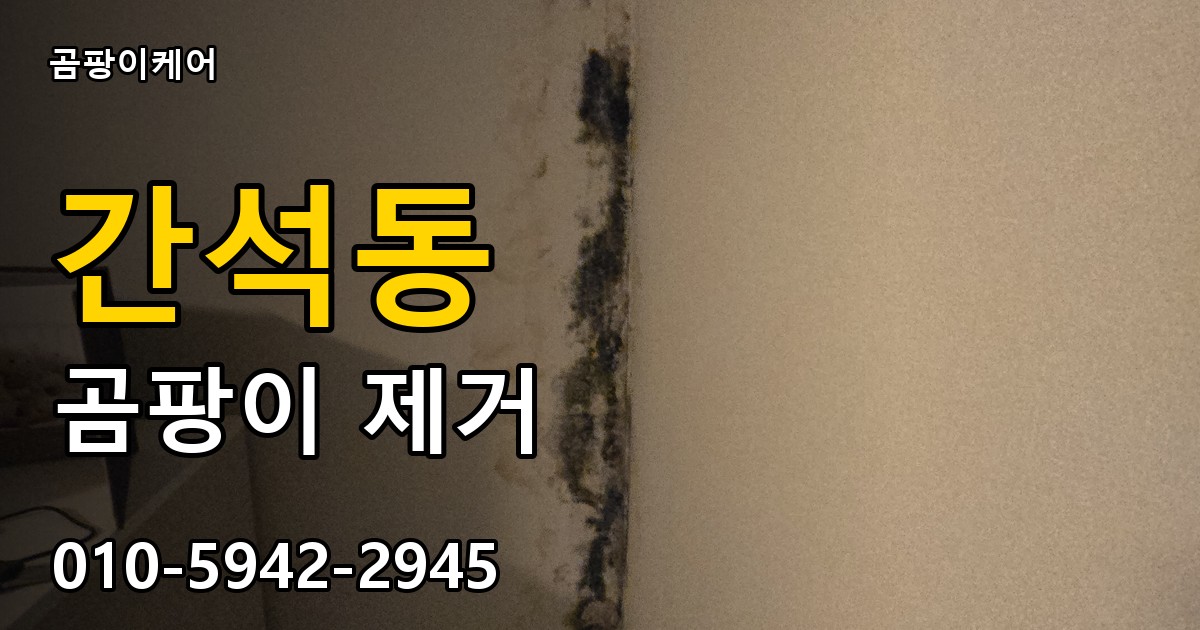 간석동 곰팡이 제거 - 곰팡이케어 실제 시공 현장