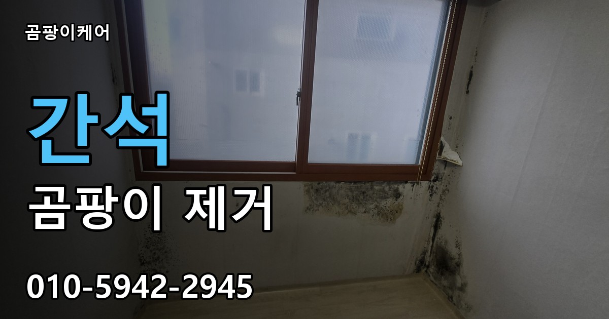 간석 곰팡이 제거 - 곰팡이케어 실제 시공 현장