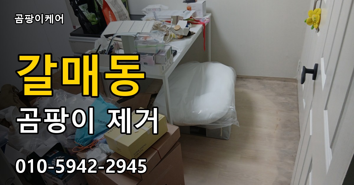 갈매동 곰팡이 제거 - 곰팡이케어 실제 시공 현장