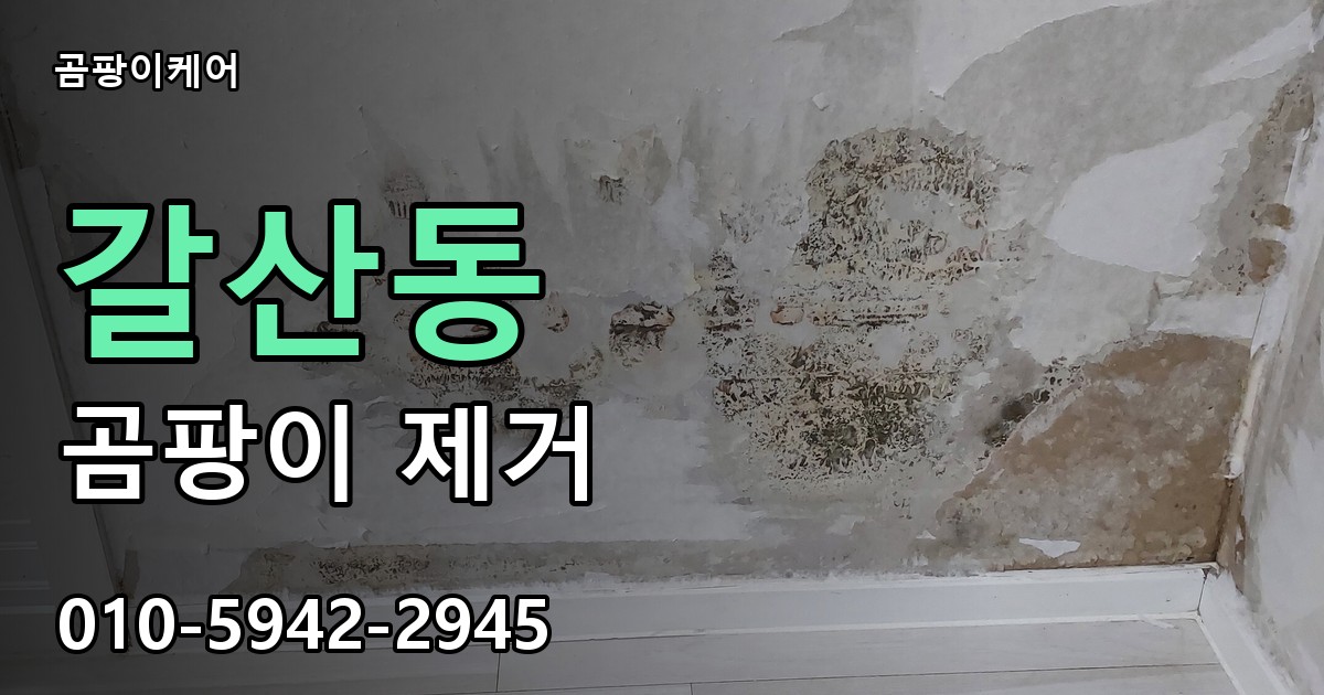 갈산동 곰팡이 제거 - 곰팡이케어 실제 시공 현장
