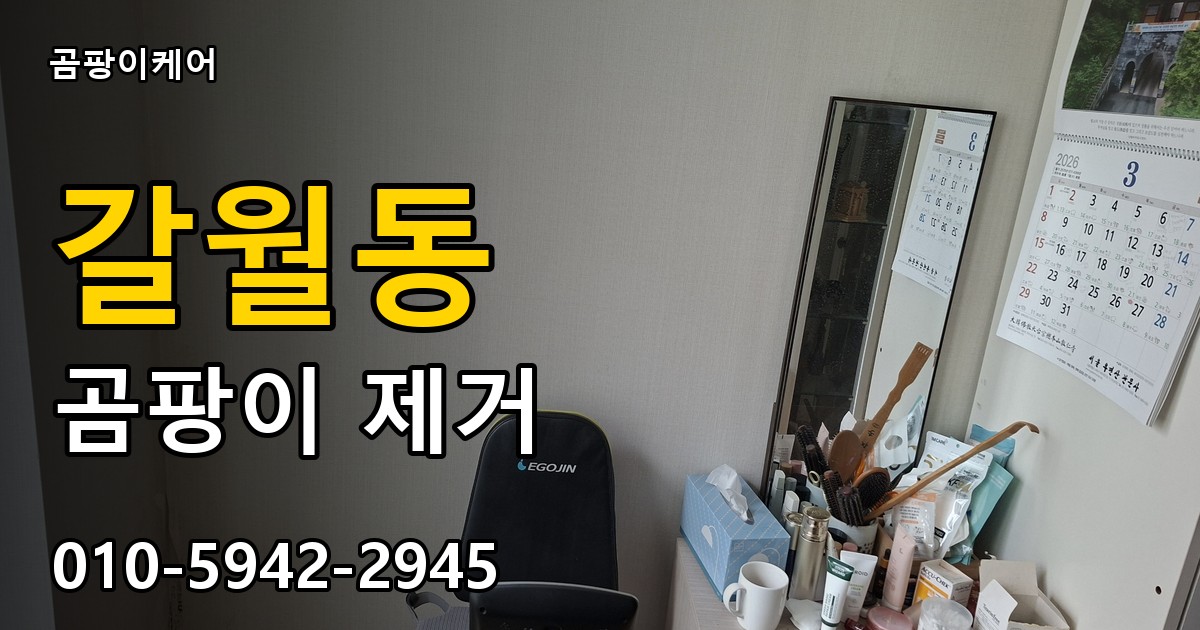 갈월동 곰팡이 제거 - 곰팡이케어 실제 시공 현장