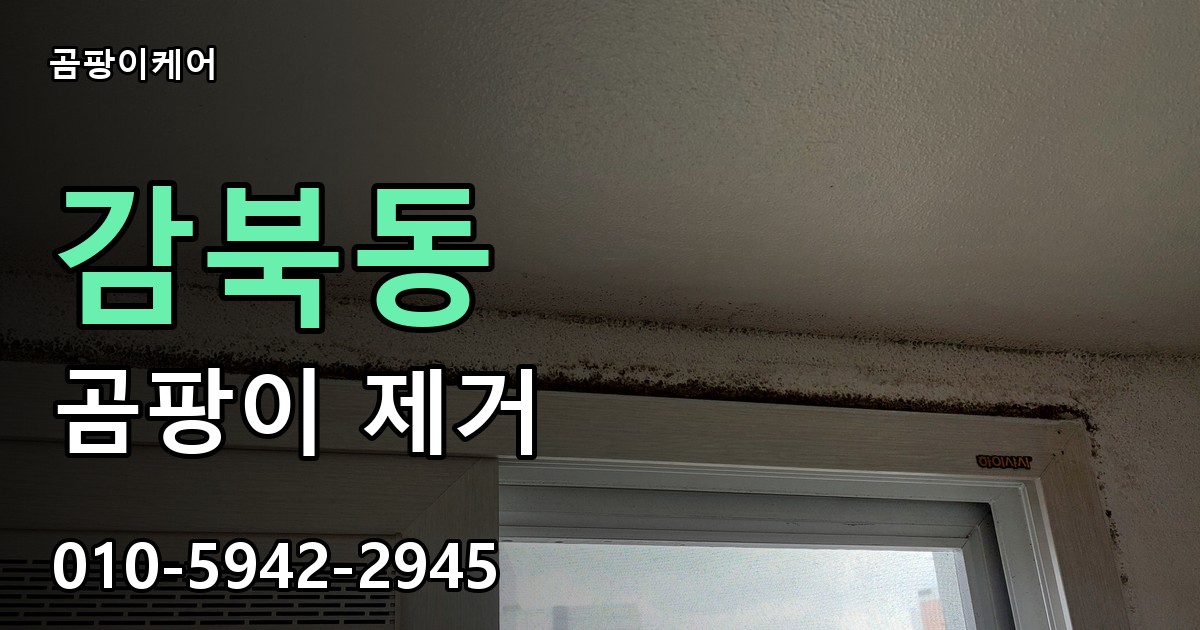 감북동 곰팡이 제거 - 곰팡이케어 실제 시공 현장