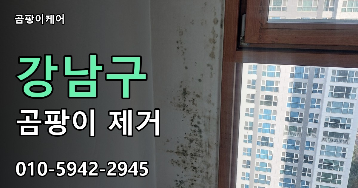 강남구 곰팡이 제거 - 곰팡이케어 실제 시공 현장