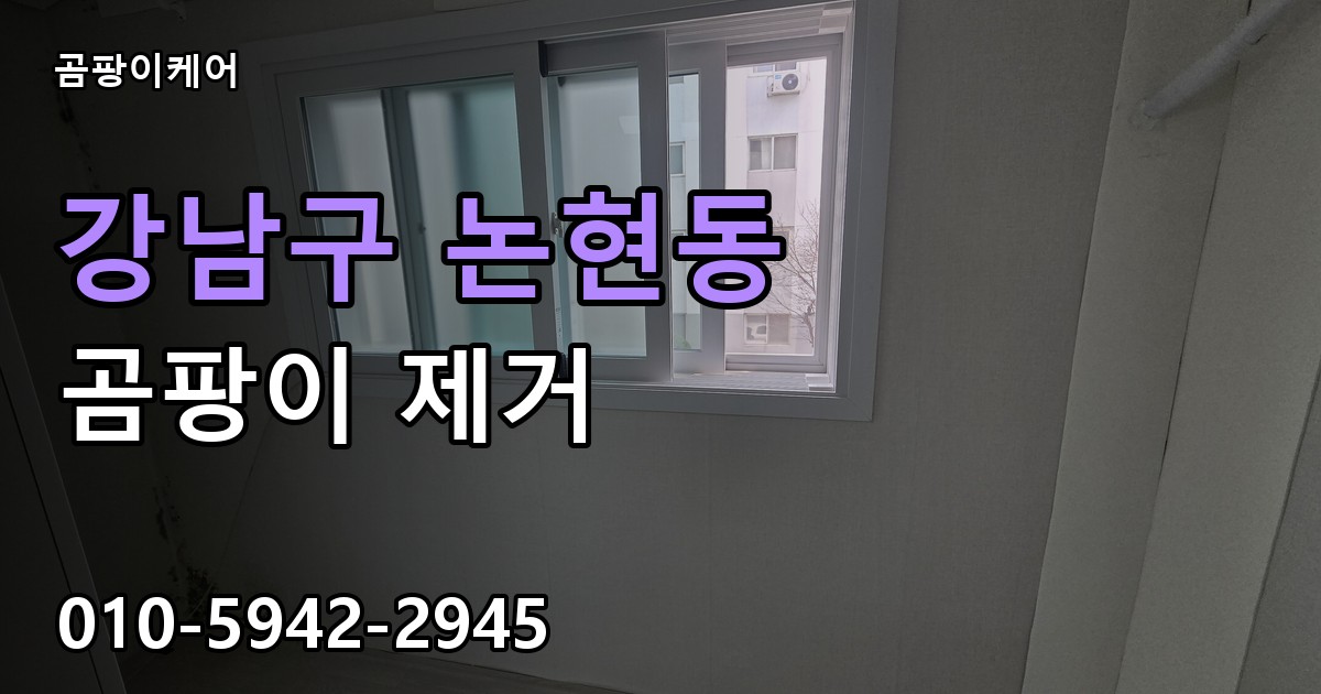 강남구 논현동 곰팡이 제거 - 곰팡이케어 실제 시공 현장
