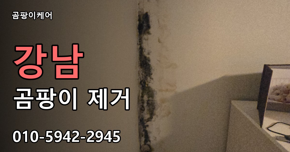 강남 곰팡이 제거 - 곰팡이케어 실제 시공 현장