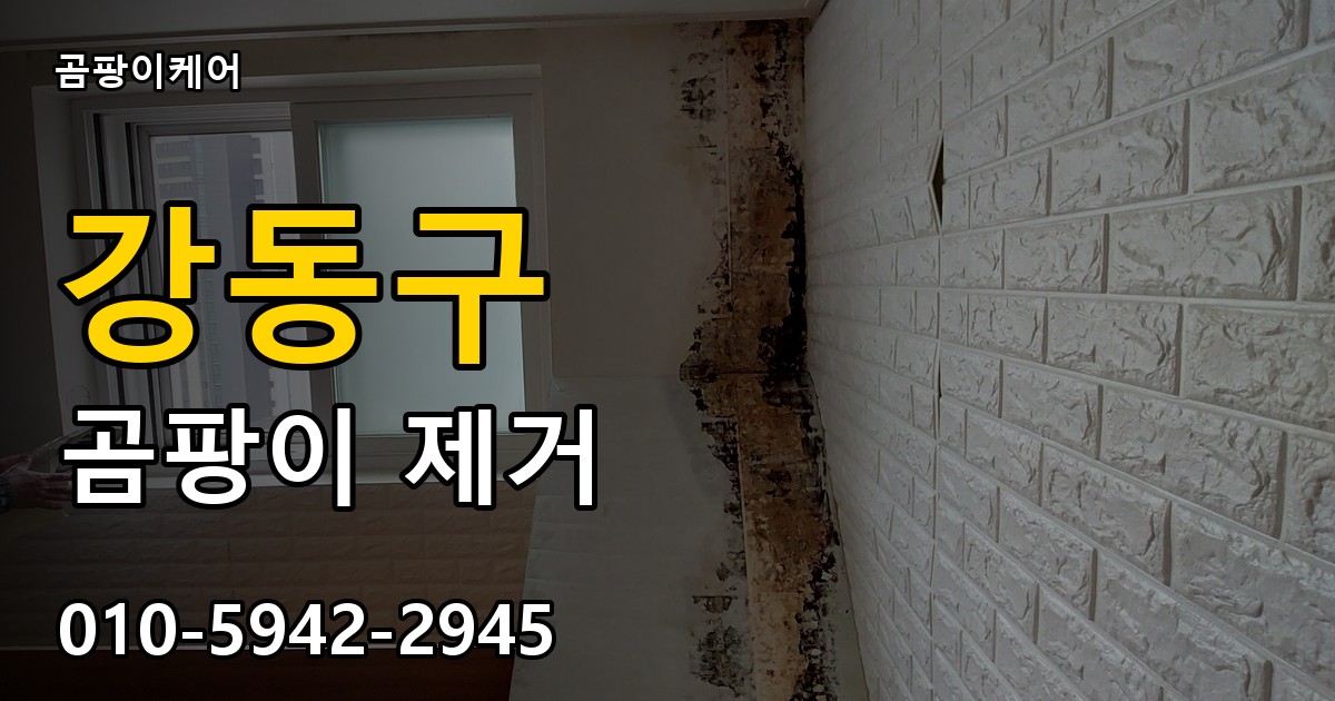 강동구 곰팡이 제거 - 곰팡이케어 실제 시공 현장