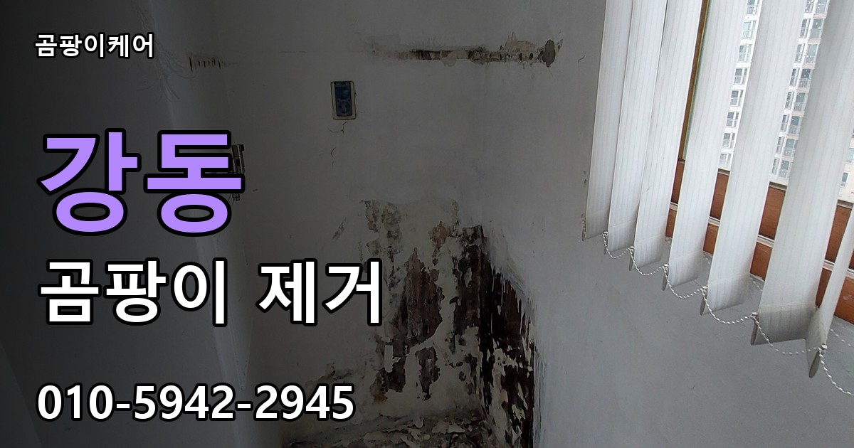 강동 곰팡이 제거 - 곰팡이케어 실제 시공 현장