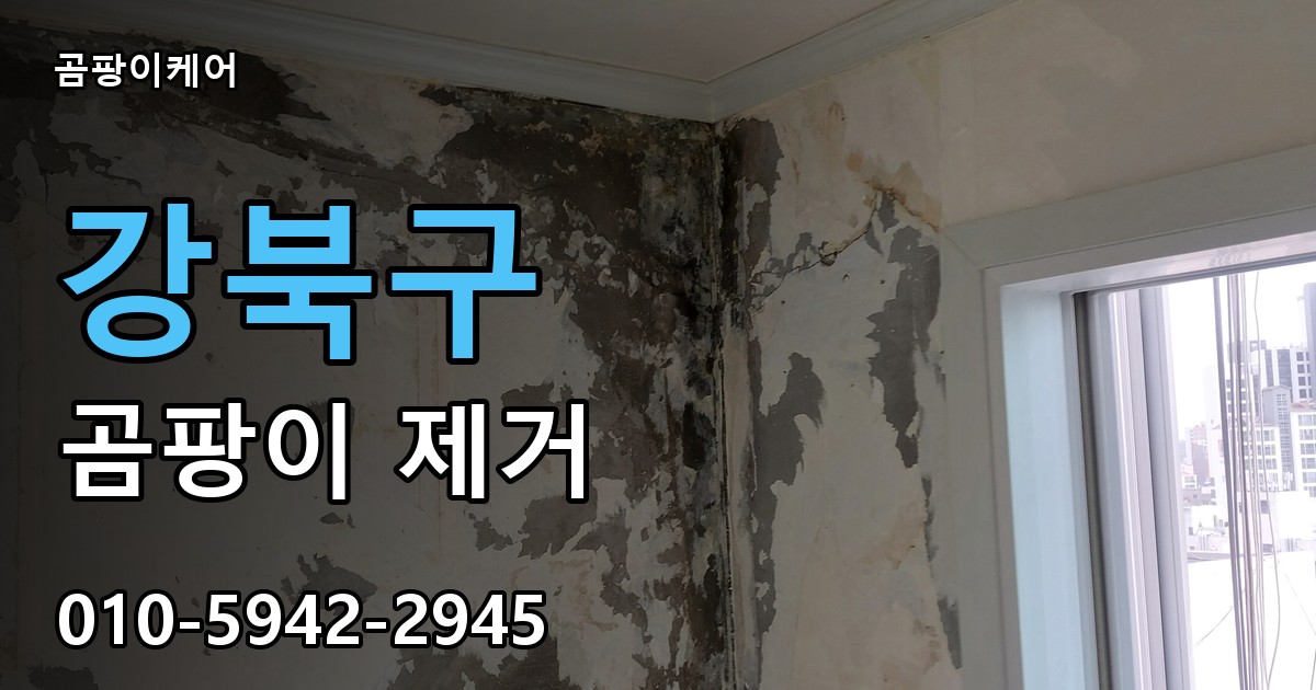 강북구 곰팡이 제거 - 곰팡이케어 실제 시공 현장