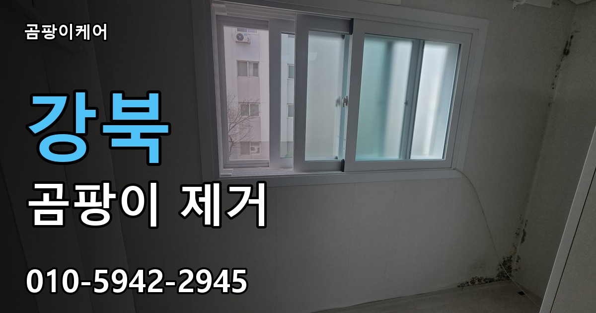 강북 곰팡이 제거 - 곰팡이케어 실제 시공 현장