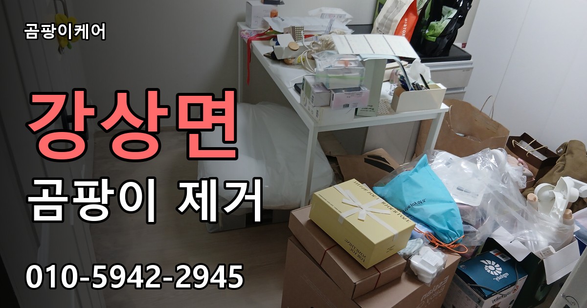 강상면 곰팡이 제거 - 곰팡이케어 실제 시공 현장