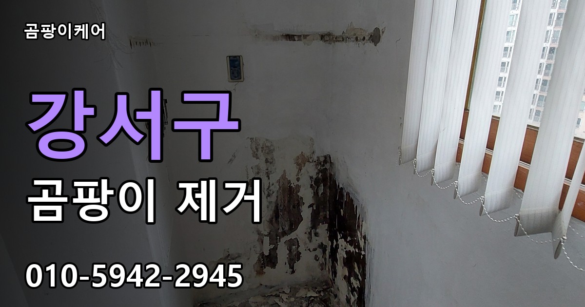 강서구 곰팡이 제거 - 곰팡이케어 실제 시공 현장