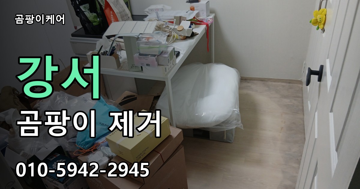 강서 곰팡이 제거 - 곰팡이케어 실제 시공 현장