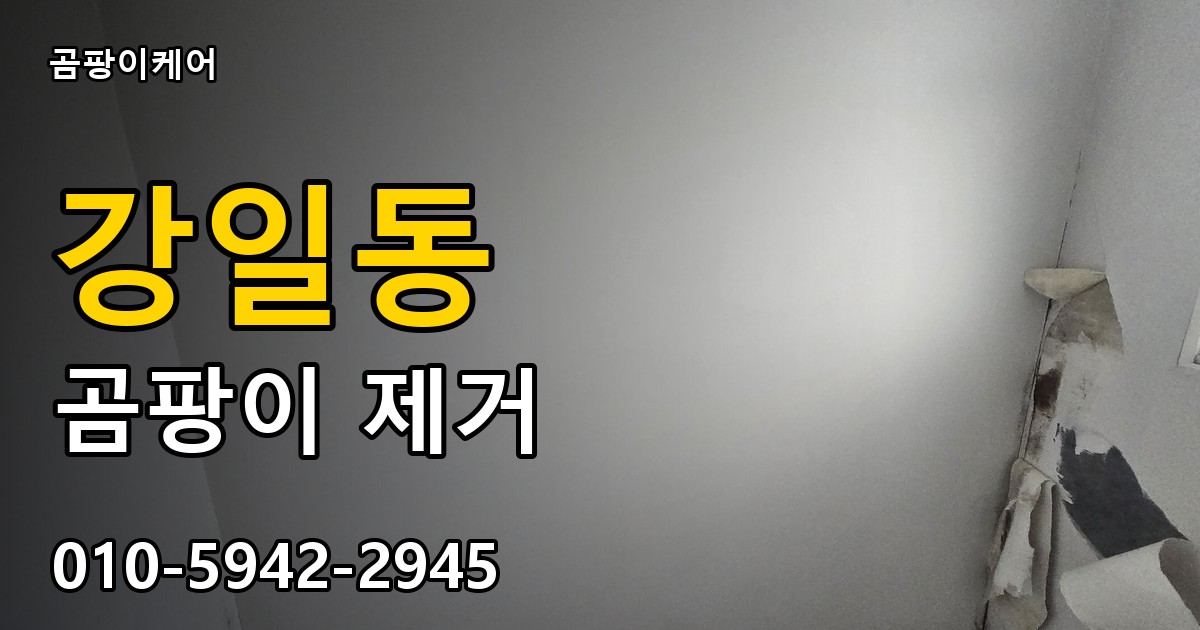 강일동 곰팡이 제거 - 곰팡이케어 실제 시공 현장
