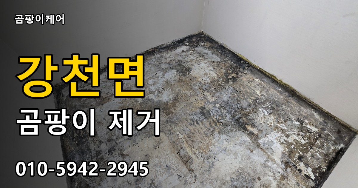 강천면 곰팡이 제거 - 곰팡이케어 실제 시공 현장