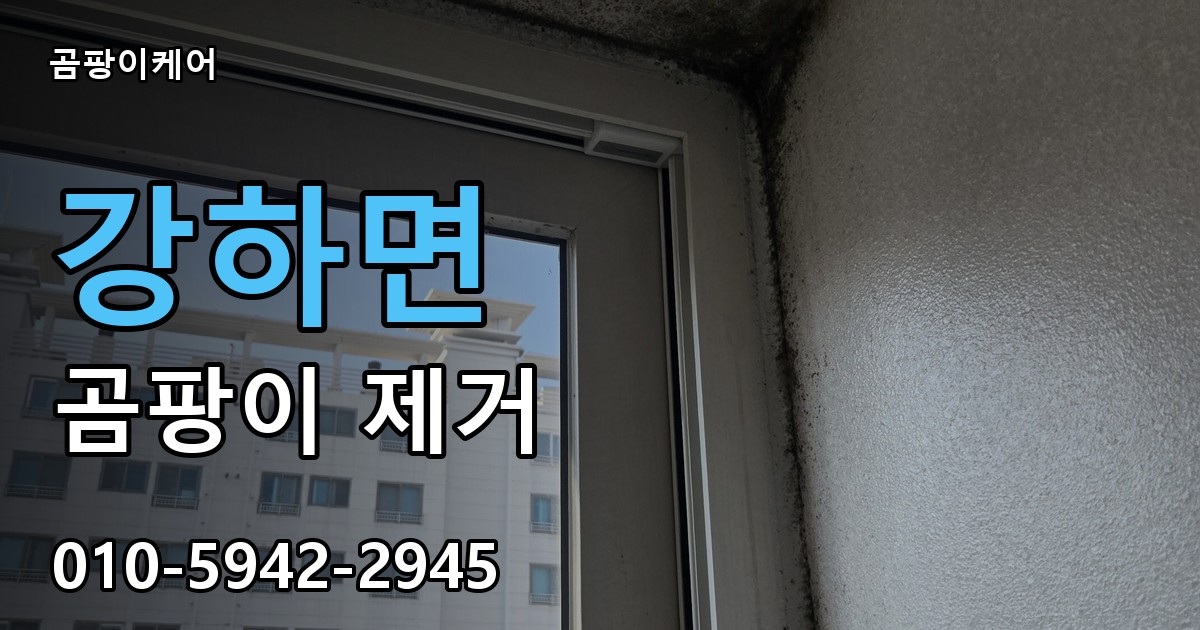 강하면 곰팡이 제거 - 곰팡이케어 실제 시공 현장
