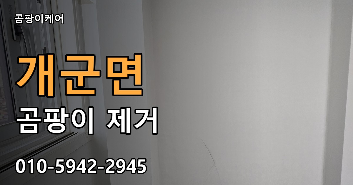 개군면 곰팡이 제거 - 곰팡이케어 실제 시공 현장