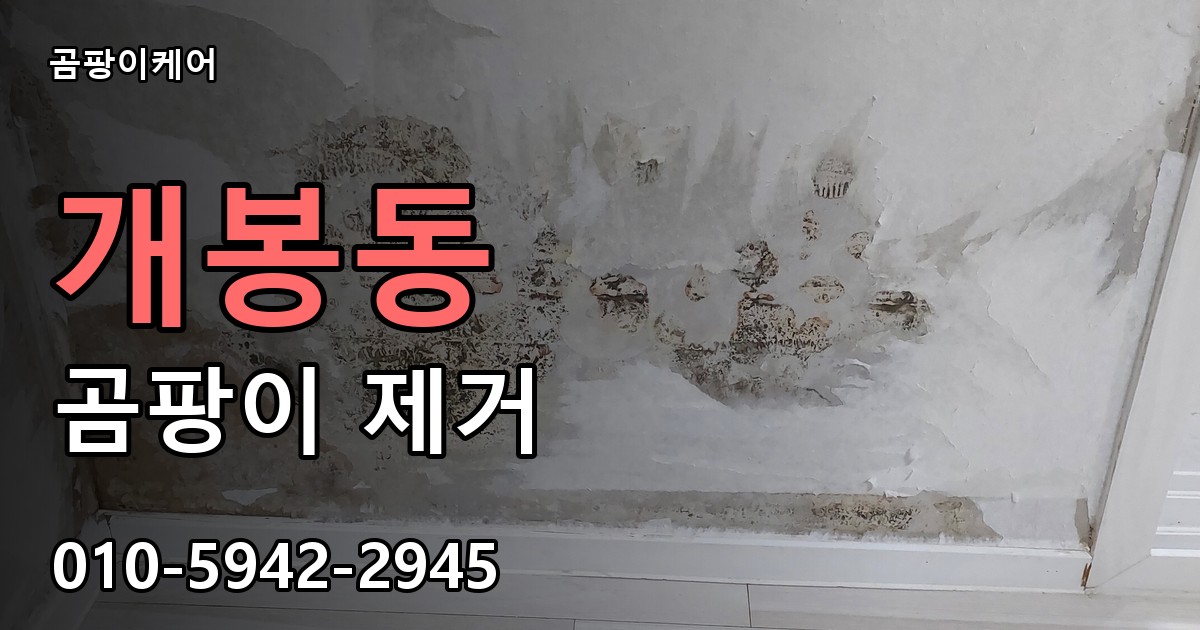 개봉동 곰팡이 제거 - 곰팡이케어 실제 시공 현장