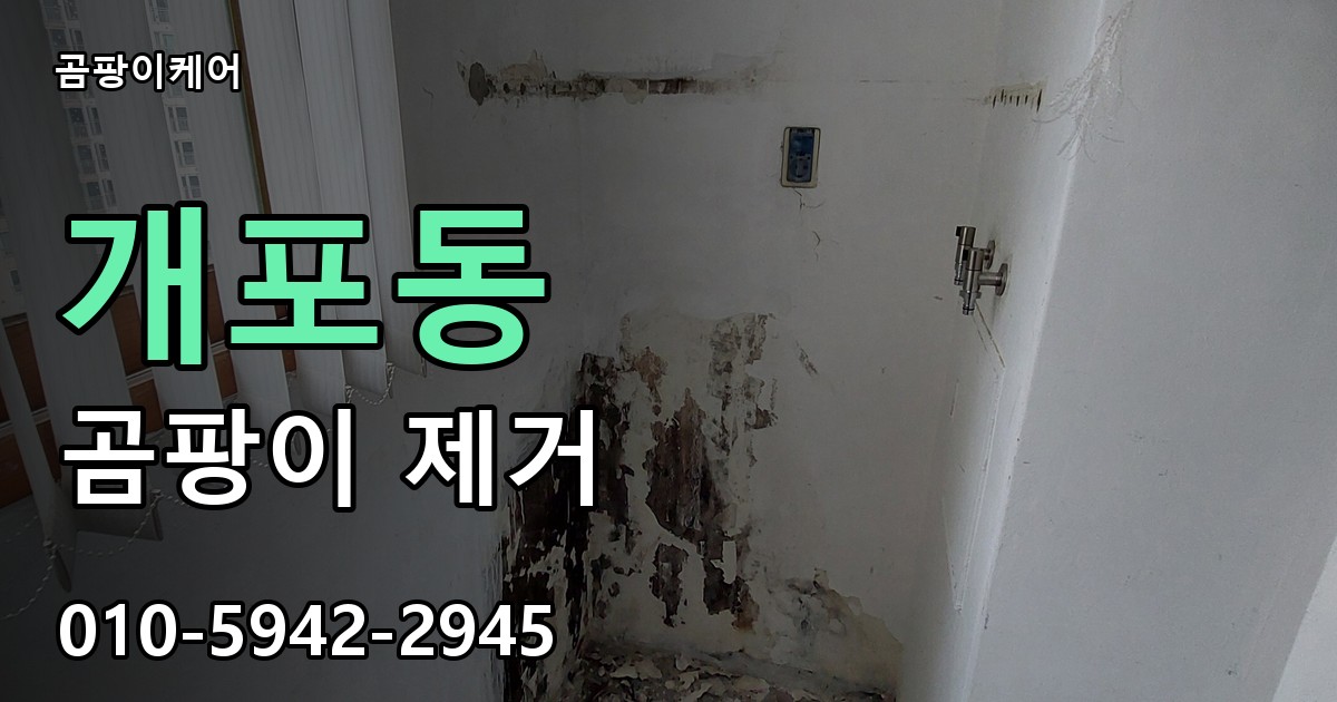 개포동 곰팡이 제거 - 곰팡이케어 실제 시공 현장