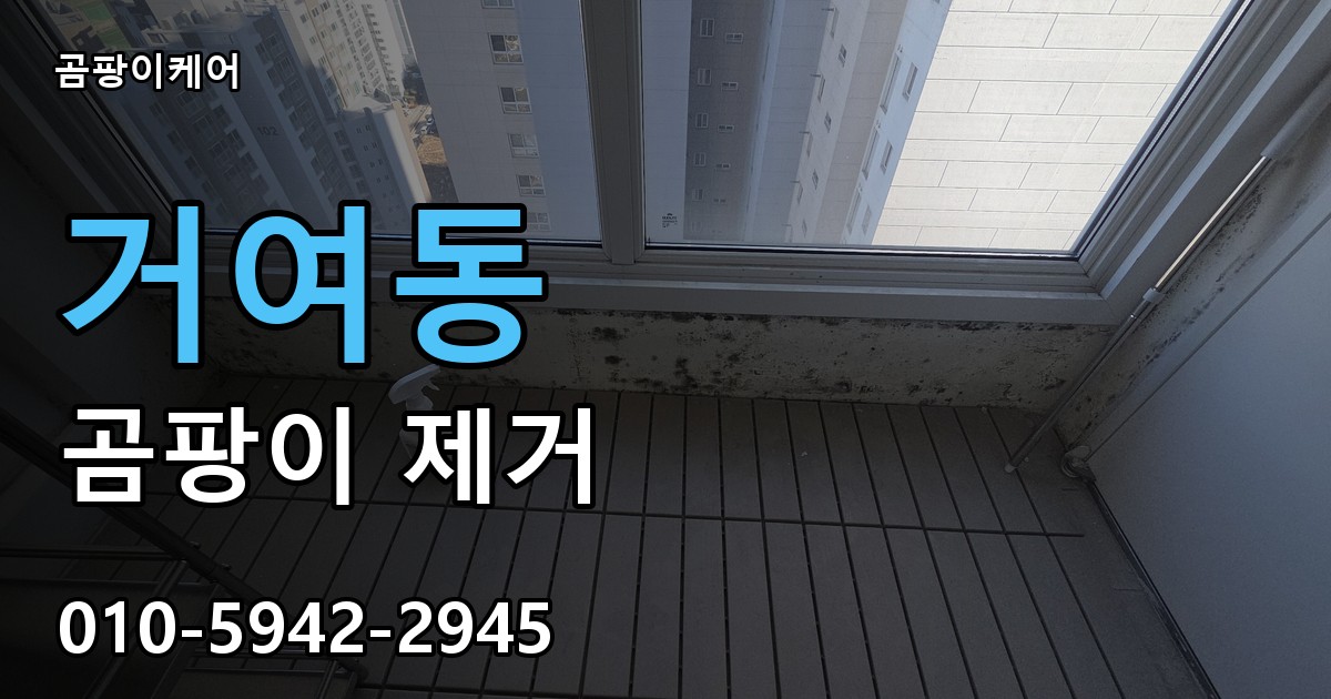거여동 곰팡이 제거 - 곰팡이케어 실제 시공 현장