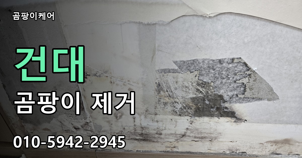 건대 곰팡이 제거 - 곰팡이케어 실제 시공 현장