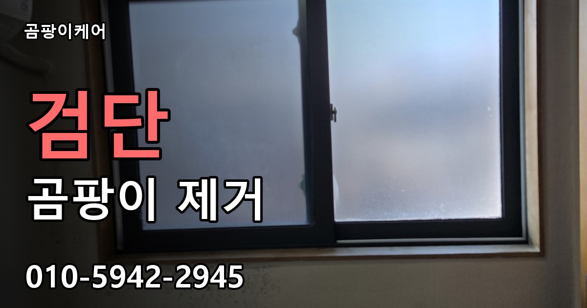검단 곰팡이 제거 - 곰팡이케어 실제 시공 현장