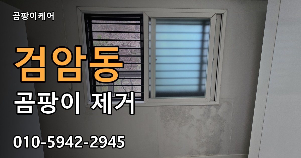 검암동 곰팡이 제거 - 곰팡이케어 실제 시공 현장