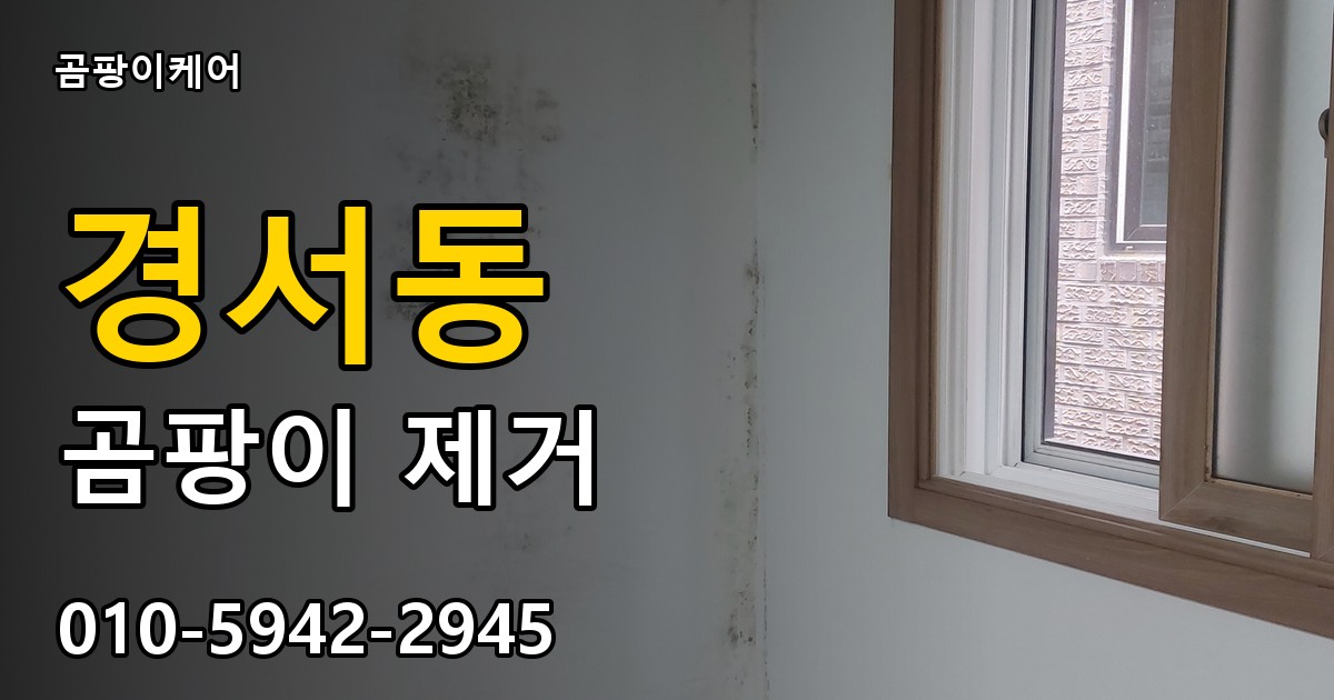 경서동 곰팡이 제거 - 곰팡이케어 실제 시공 현장