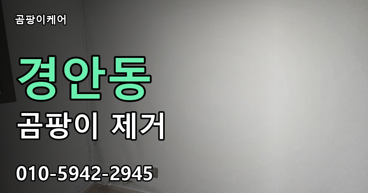 경안동 곰팡이 제거 - 곰팡이케어 실제 시공 현장