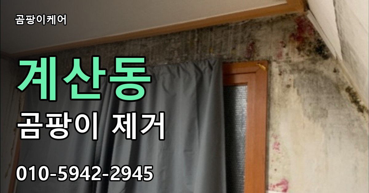 계산동 곰팡이 제거 - 곰팡이케어 실제 시공 현장