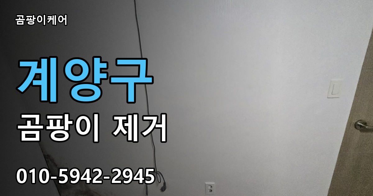 계양구 곰팡이 제거 - 곰팡이케어 실제 시공 현장