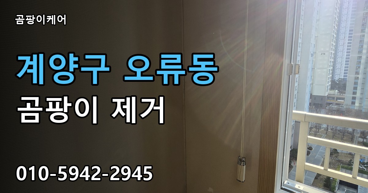 계양구 오류동 곰팡이 제거 - 곰팡이케어 실제 시공 현장