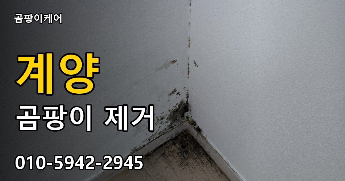 계양 곰팡이 제거 - 곰팡이케어 실제 시공 현장