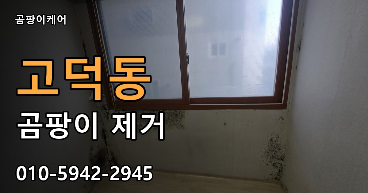 고덕동 곰팡이 제거 - 곰팡이케어 실제 시공 현장