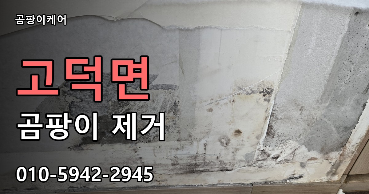고덕면 곰팡이 제거 - 곰팡이케어 실제 시공 현장