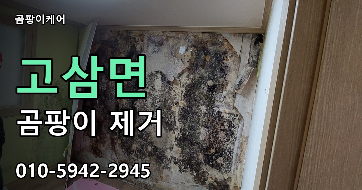 고삼면 곰팡이 제거 - 곰팡이케어 실제 시공 현장
