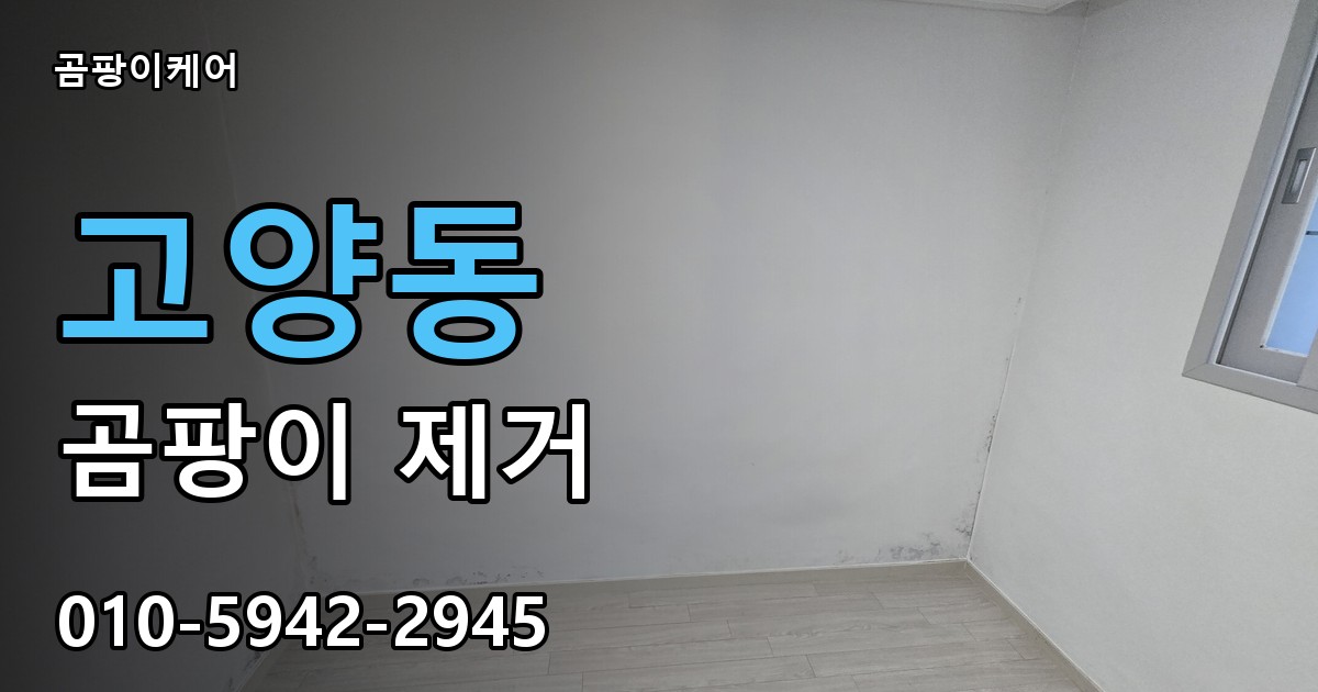 고양동 곰팡이 제거 - 곰팡이케어 실제 시공 현장