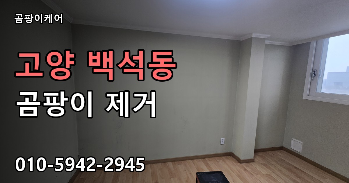 고양 백석동 곰팡이 제거 - 곰팡이케어 실제 시공 현장