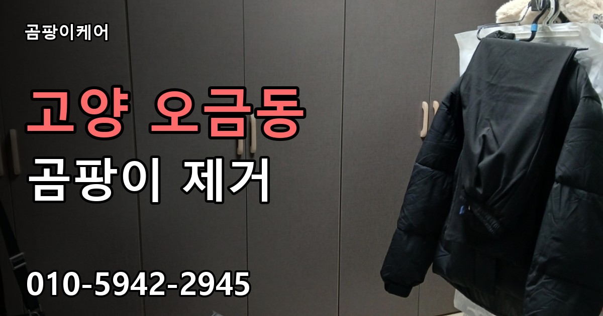 고양 오금동 곰팡이 제거 - 곰팡이케어 실제 시공 현장